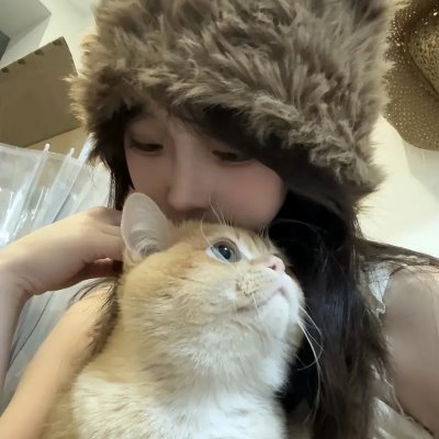 侠盗高飞